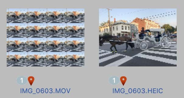 Cellebrite Inspector view of Live Photos: Displays iPhone forensic images of .HEIC files and videos of .MOV.



