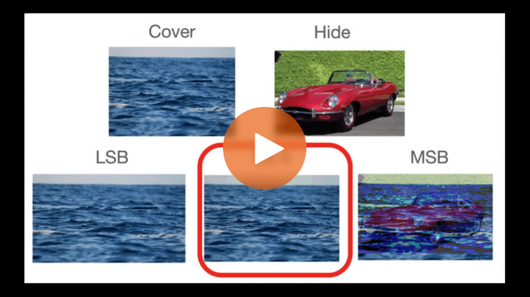 Steganography: How Data is Hidden Then Revealed Using Digital Forensics